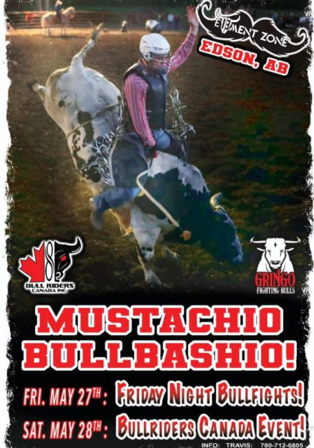 mustachio bullbashio poster